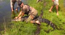 Episode 202 - Florida Gator Raid