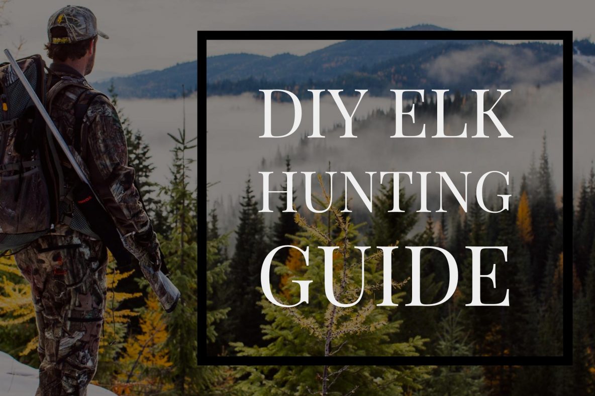 DIY Elk Hunting | The Do-It-Yourself Elk Hunting Guide | Pure Hunting