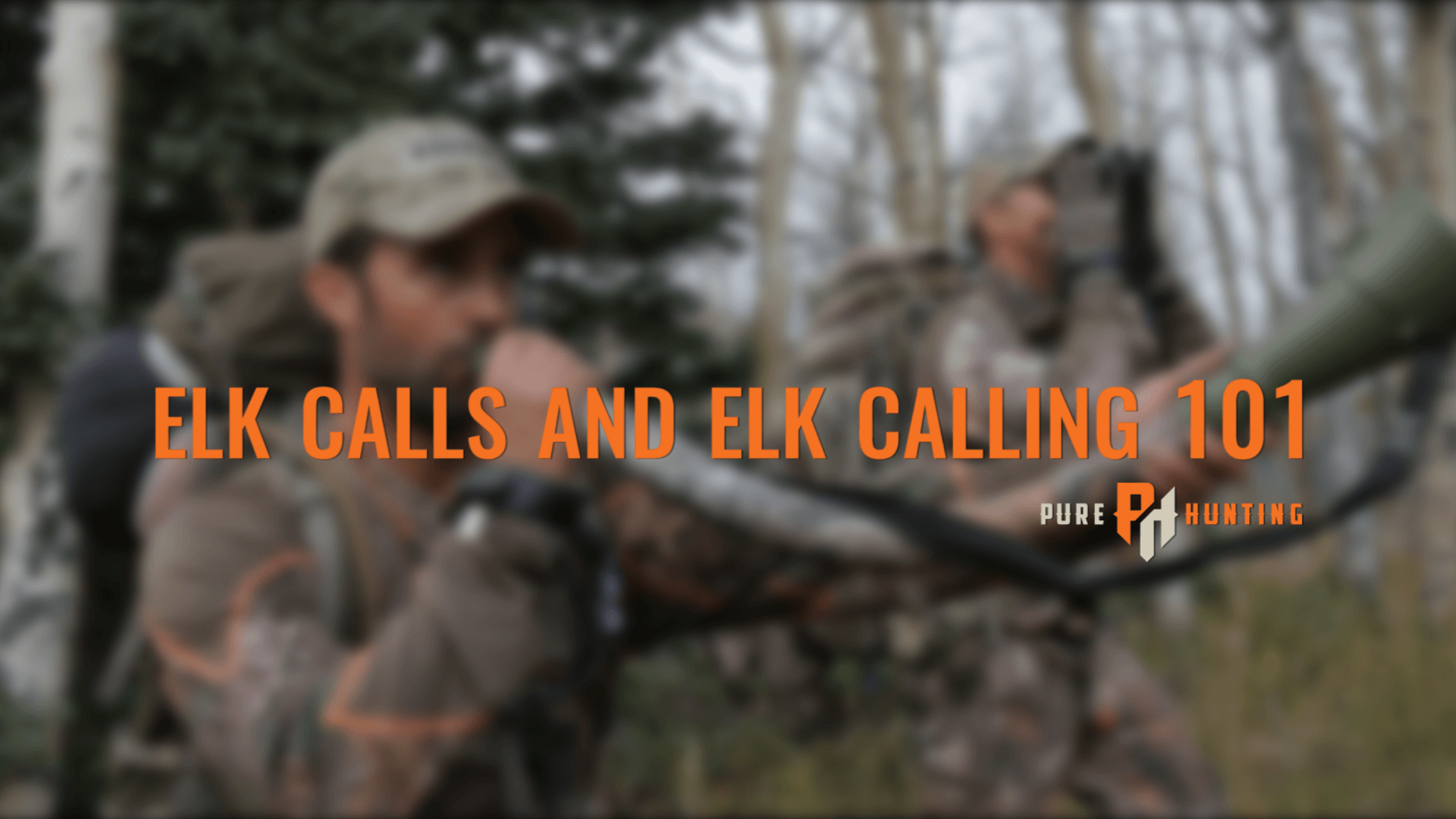 elk calls elk calling 101 | Pure Hunting