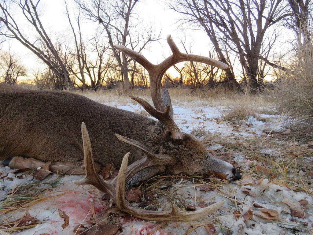 rut hunting tips public land | Pure Hunting