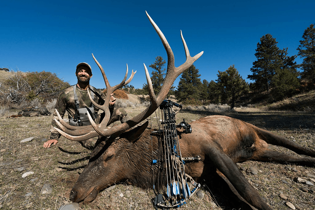 Montana Elk Hunting Full Story of Willi Schmidt’s 2017 Montana Hunt