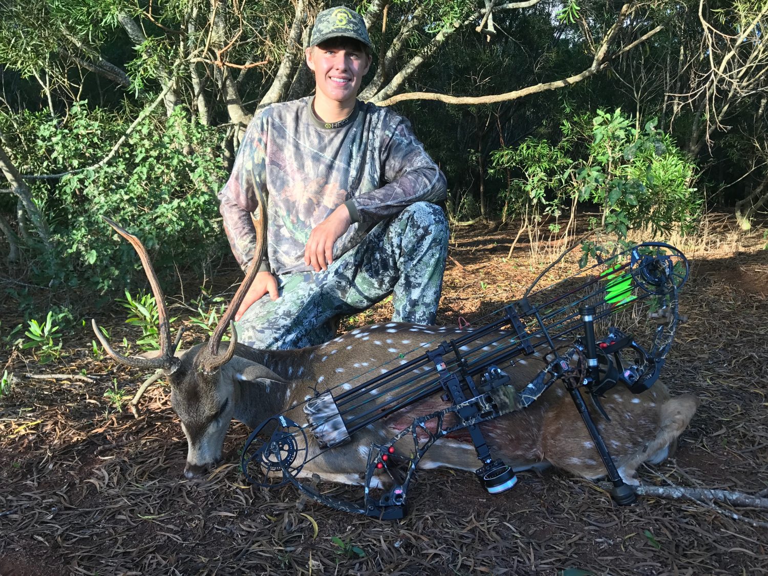 Spot and Stalk Hunting Axis Deer in Lanai Pure Hunting