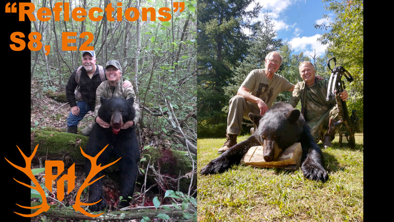 Reflection 802 - Wisconsin Black Bear Hunting