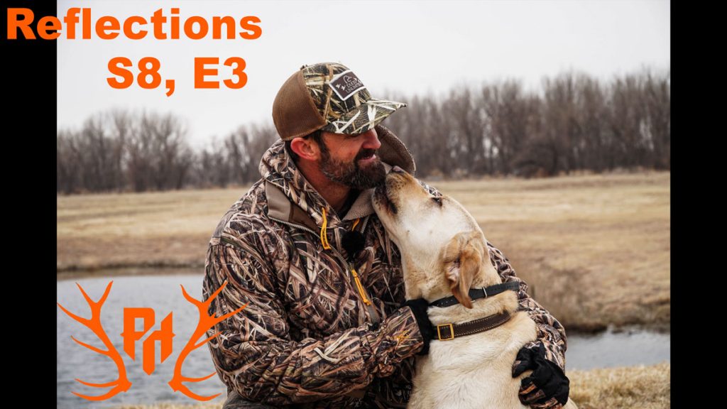 Reflection 803 – Owning Your Own Waterfowl Hunting Dog