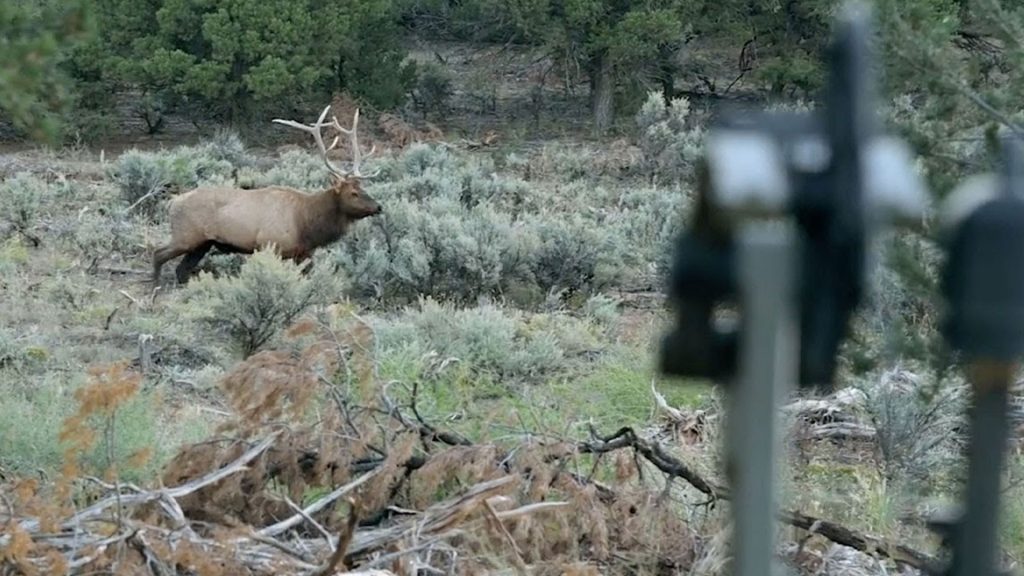 Episode 1105 - Bowhunting New Mexico Elk PT1